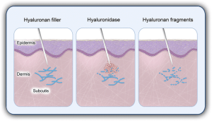 40001 2016 201 Fig1 HTML.gif